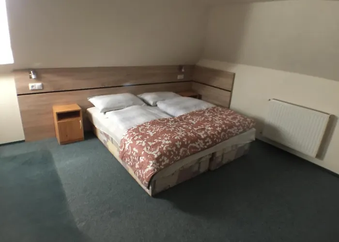 فندق مبيت وإفطار Patavar Panzio Etterem 3*